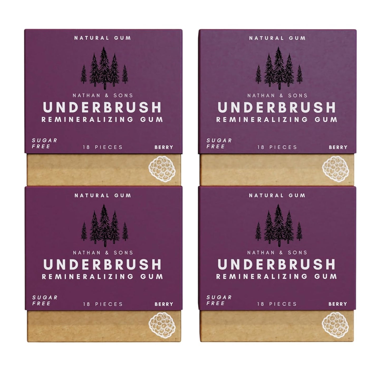 Underbrush Cinna-Mastic Remineralizing Gum, Sugar Free Xylitol Gum with Hydroxyapatite, Supports Fresh Breath and Oral Health, Tree Sap Base, Gluten Free, No Sucralose or Aspartame, 4 Pack